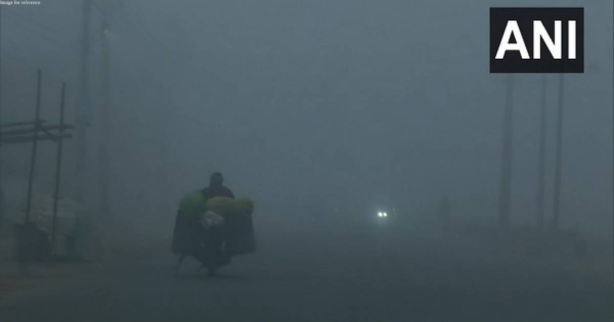 Delhi records 2.8 degrees Celsius at Lodhi Road, season's coldest morning so far